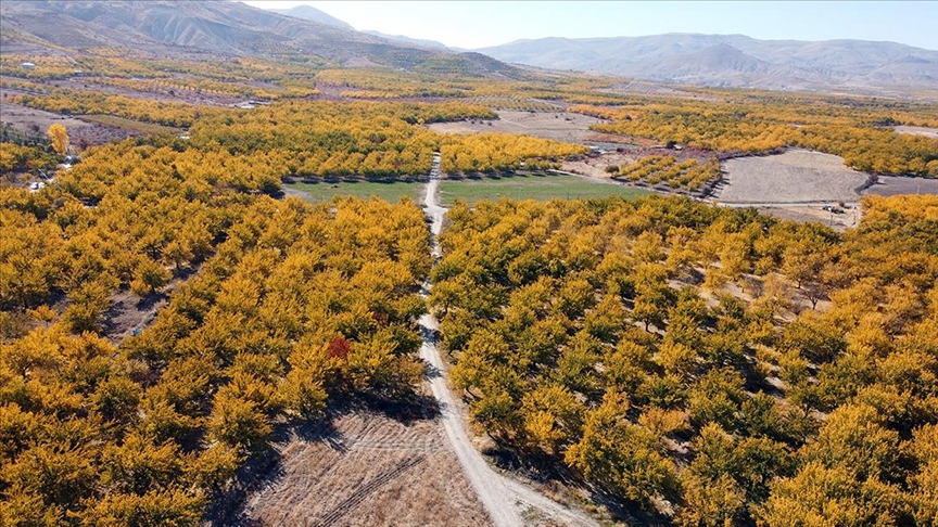 Malatya Ovası