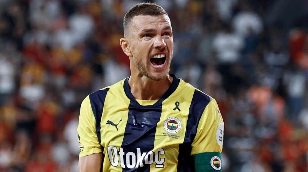 Edin Dzeko Boy