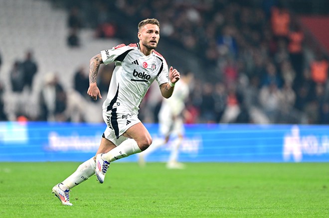Immobile