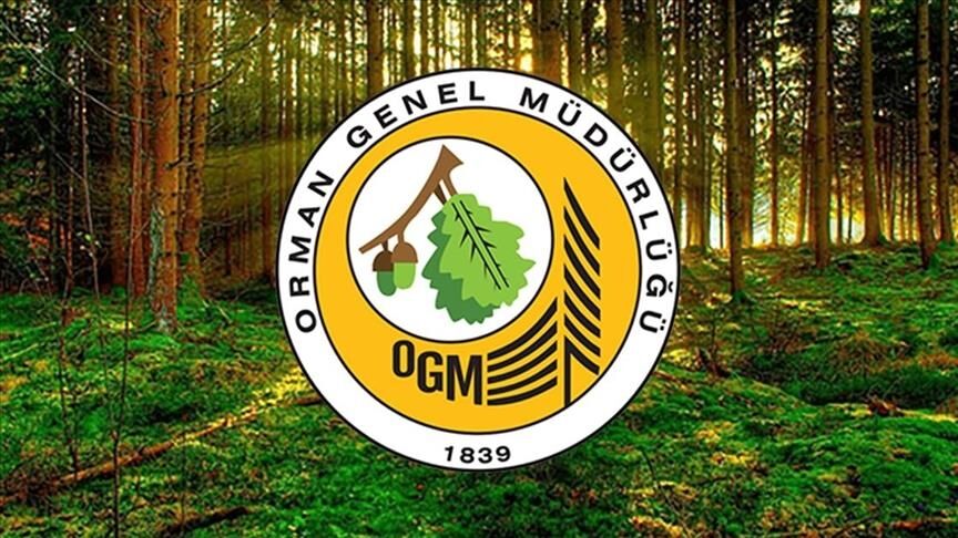 Orman Genel Müdürlüğü Ogm