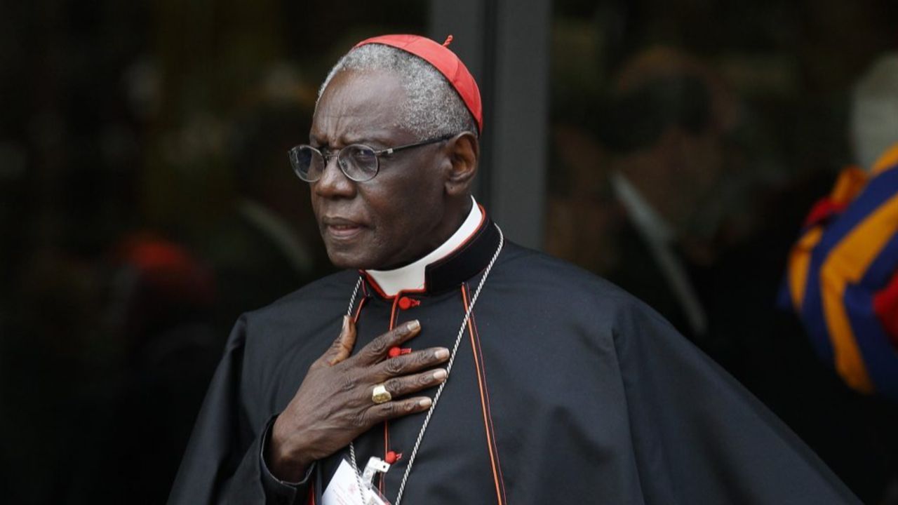 Peter Turkson Türk Mü