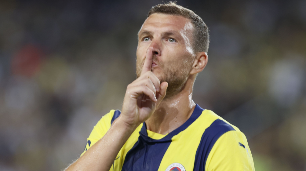Edin Dzeko Fenerbahce-1