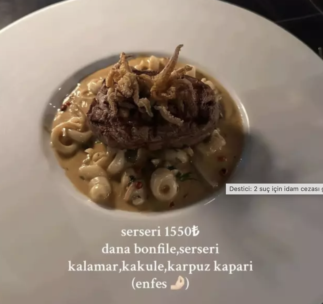 mehmet yalçınkaya-1