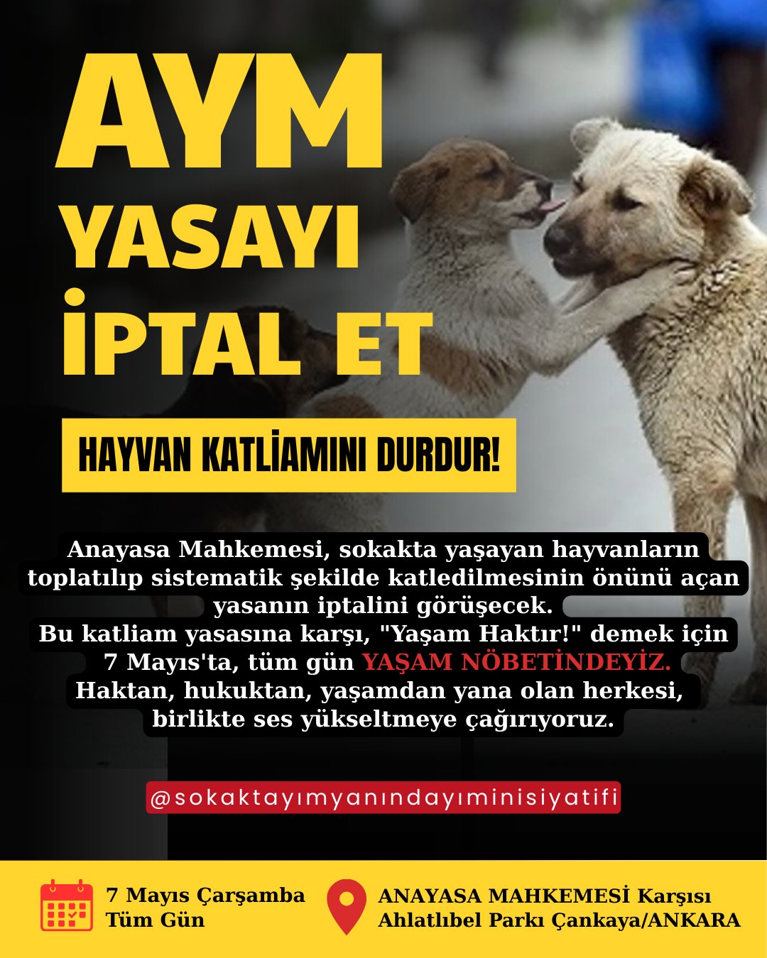 Sokak Hayvanları Yasası