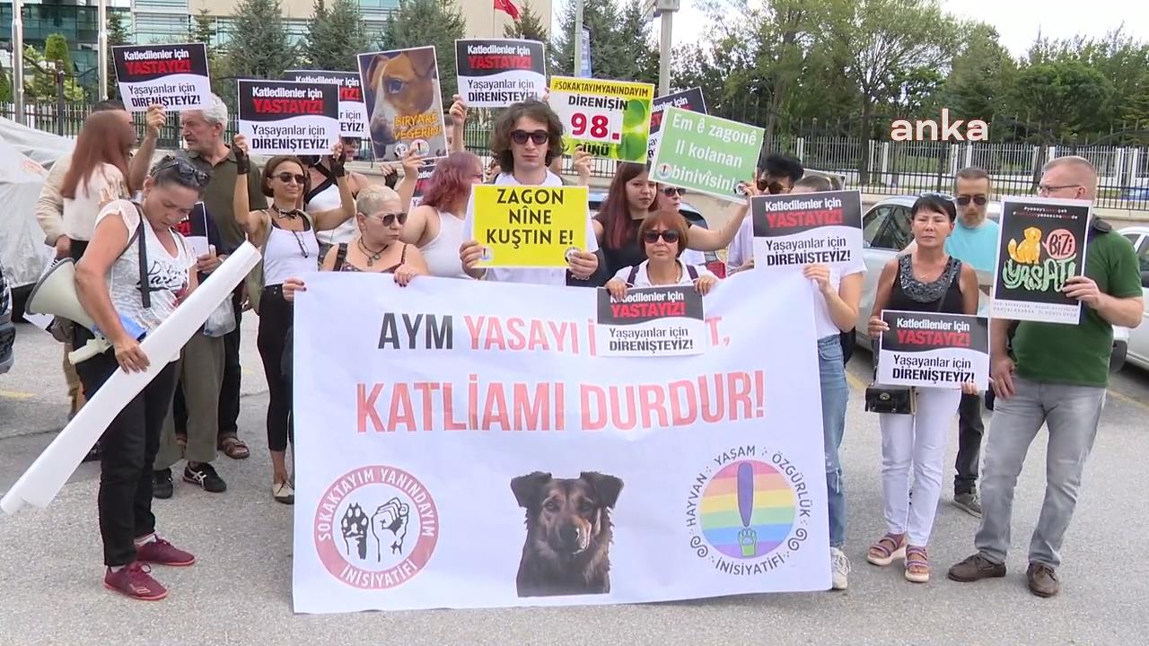 Sokak Hayvanlarını Koruma Kanunu