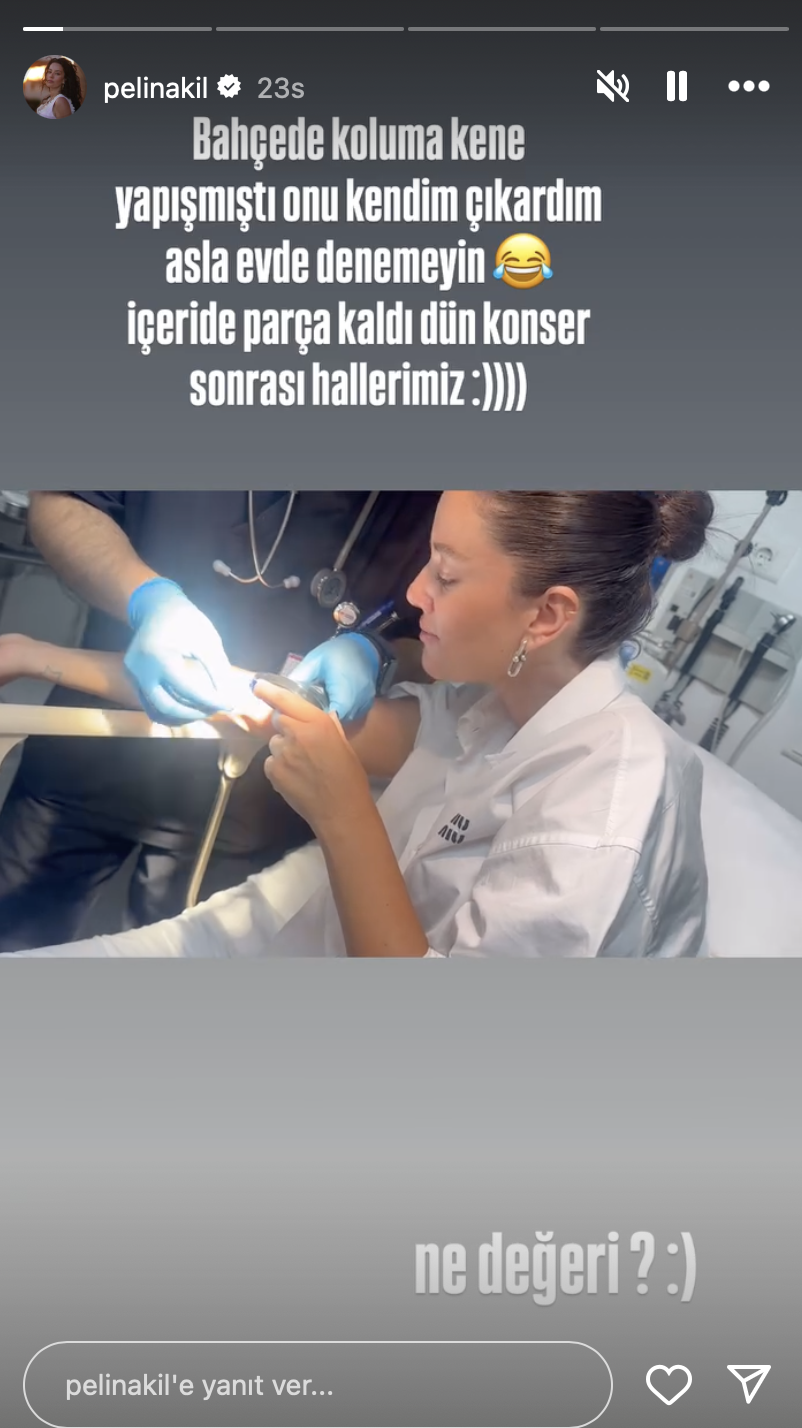 Ünlü oyuncu Pelin Akil, kolunu ısıran keneyi kendi çıkarmaya çalışınca hastaneye gitmek zorunda kaldı. Sosyal medya hesabından uyarılarda bulunan Akil, yaşadığı süreci takipçileriyle paylaştı.-1