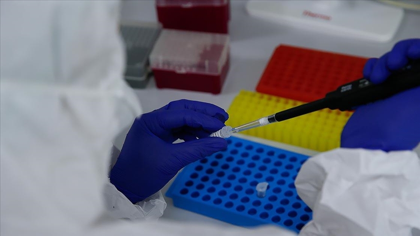 Hpv Tedavisi