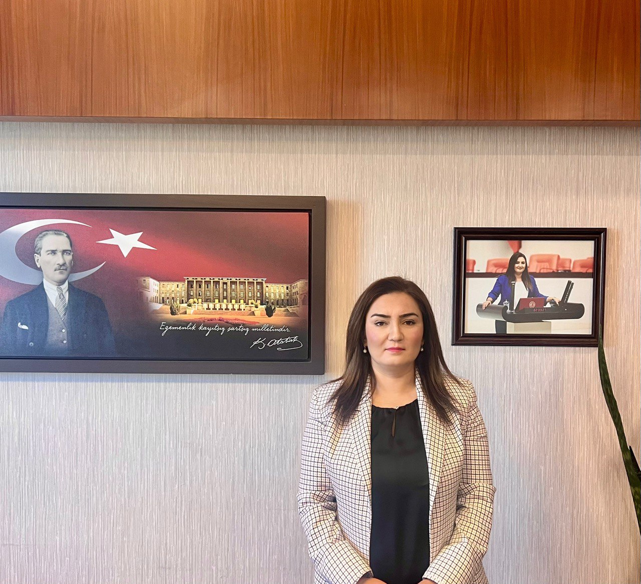 Mehmet Ali Aktaş