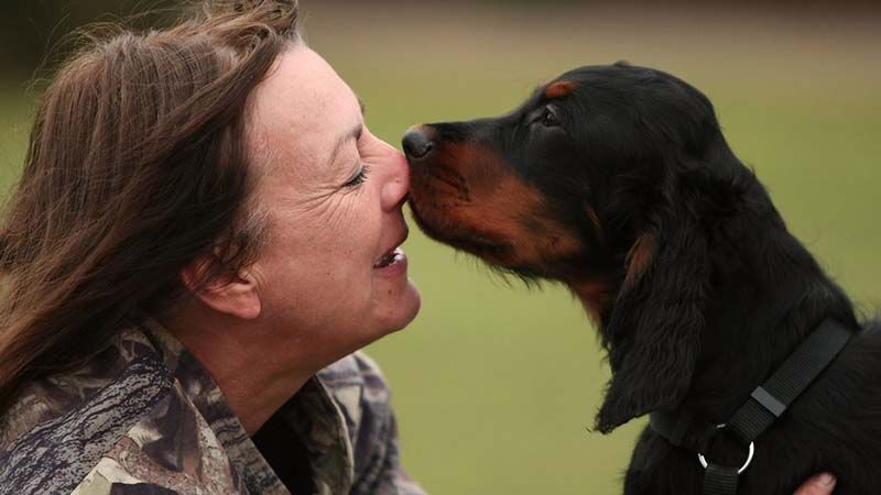 New York'ta tarihi karar: Köpekler yasal olarak aile üyesi kabul edilecek