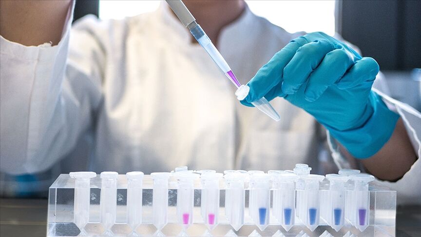 Anti Hiv Nedir Hiv Tedavisinde Kullanilan Ilaclar Ve Onemi 2