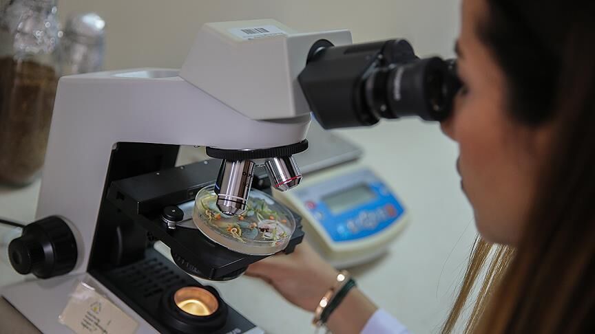Check Up Nedir Duzenli Saglik Kontrollerinin Onemi Ve Icerigi