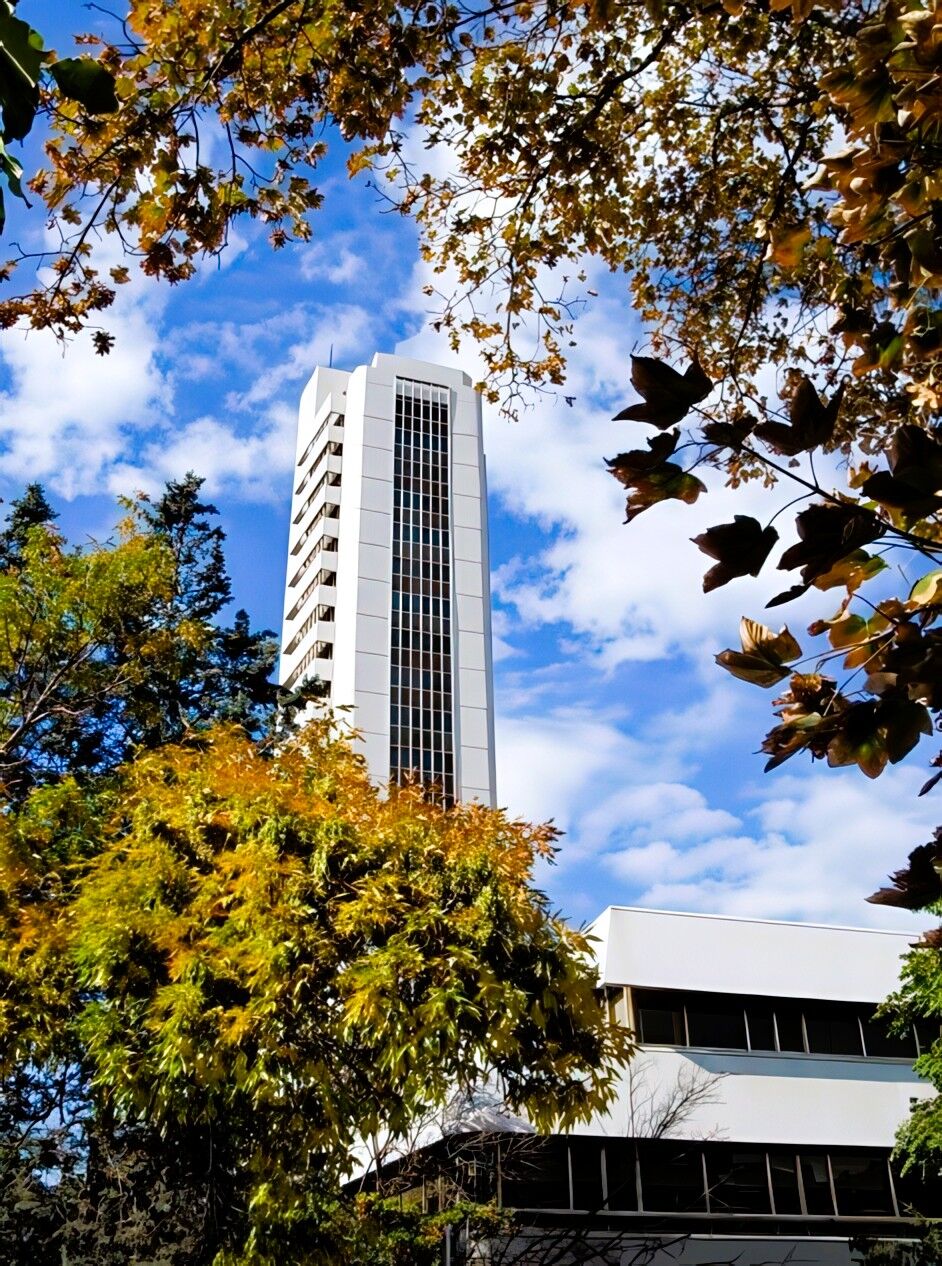 Is Bankasi Binasi 2X