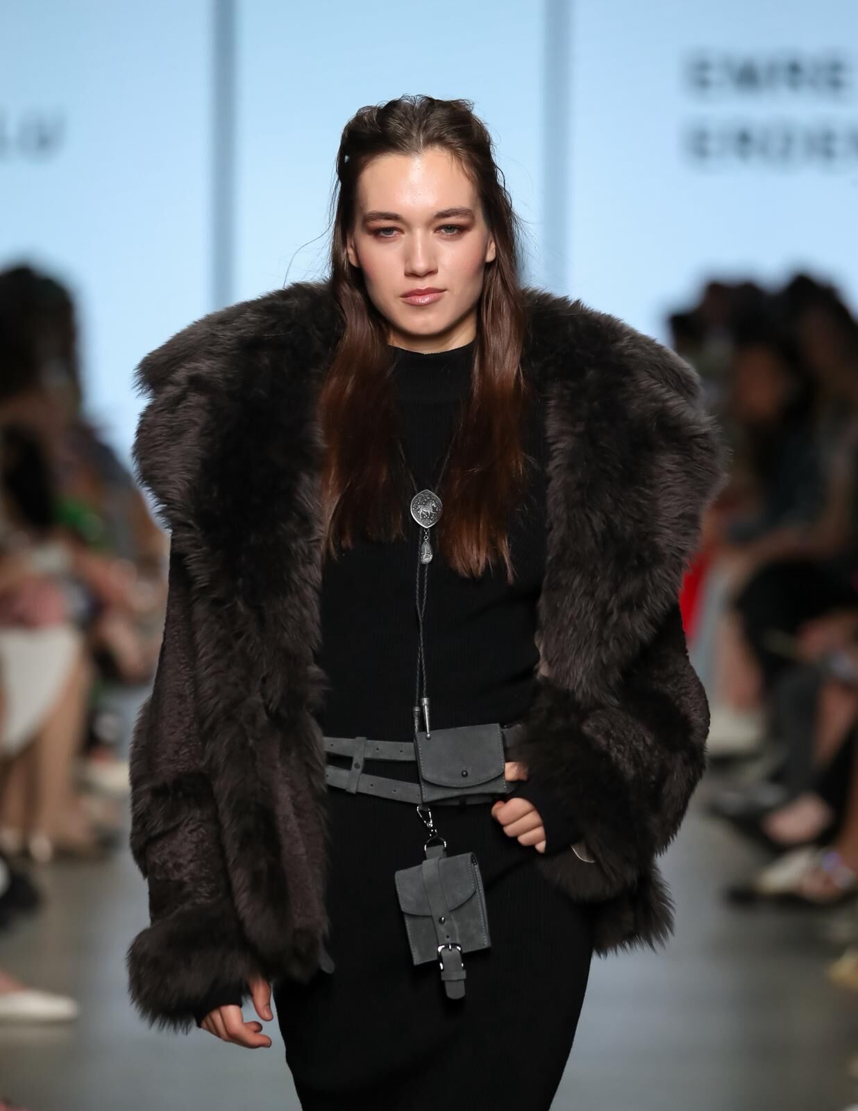Defile (5)