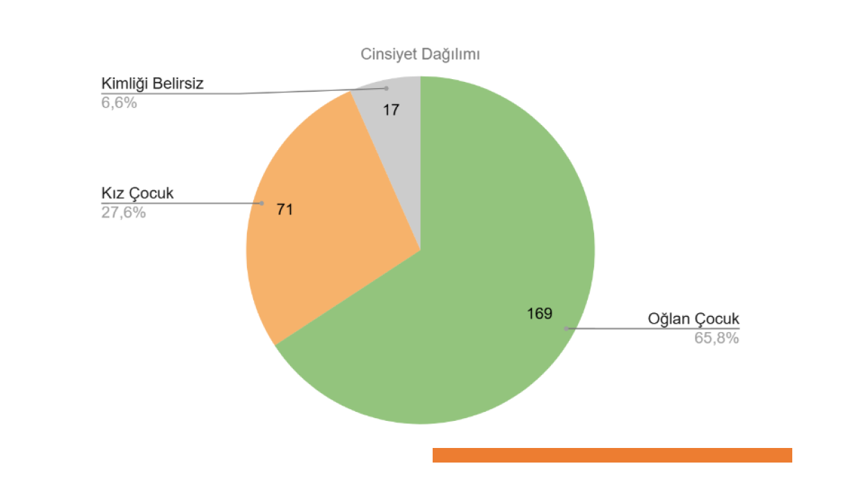 Cinsiyet Dağılımı