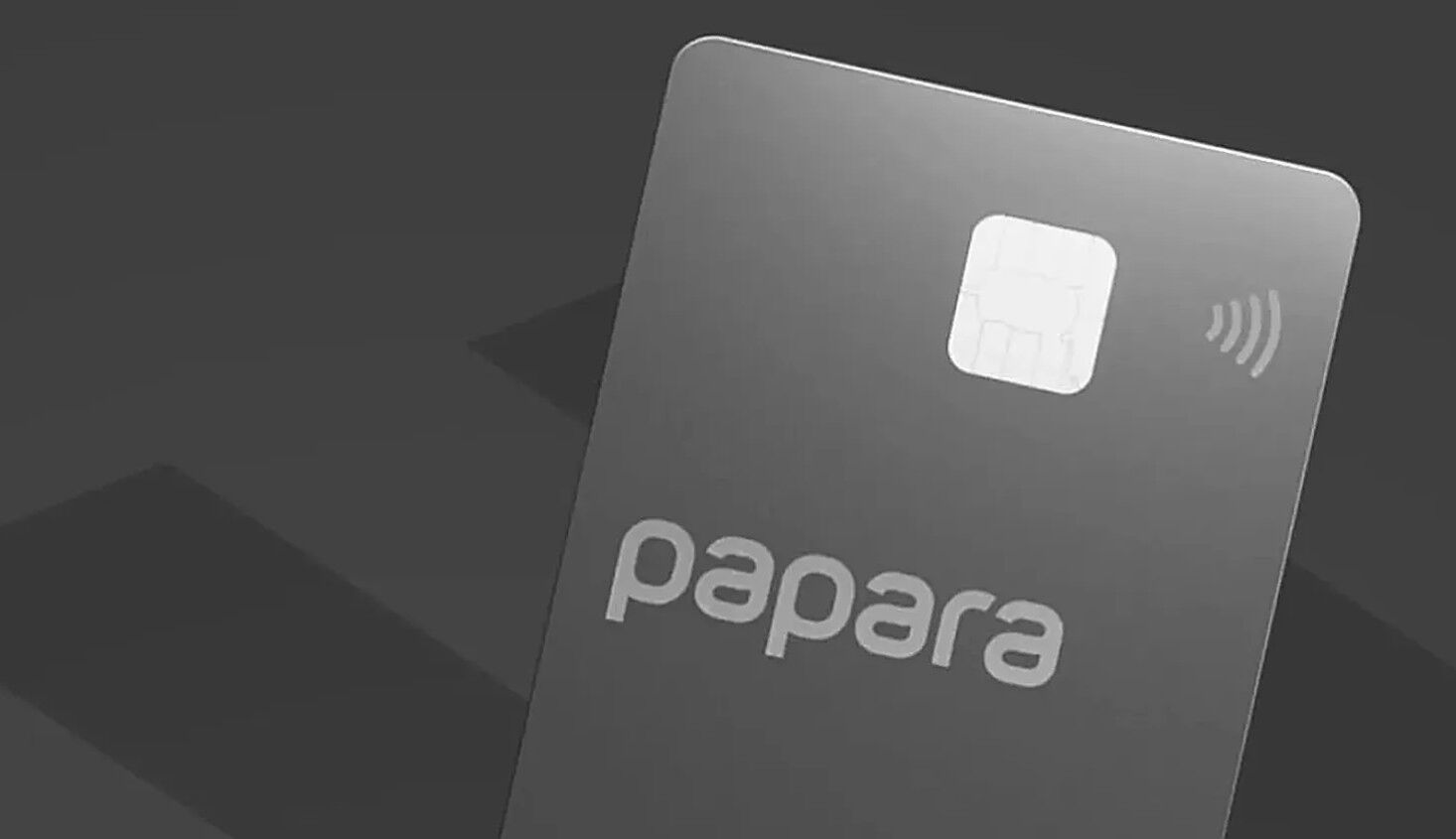 Papara1-1