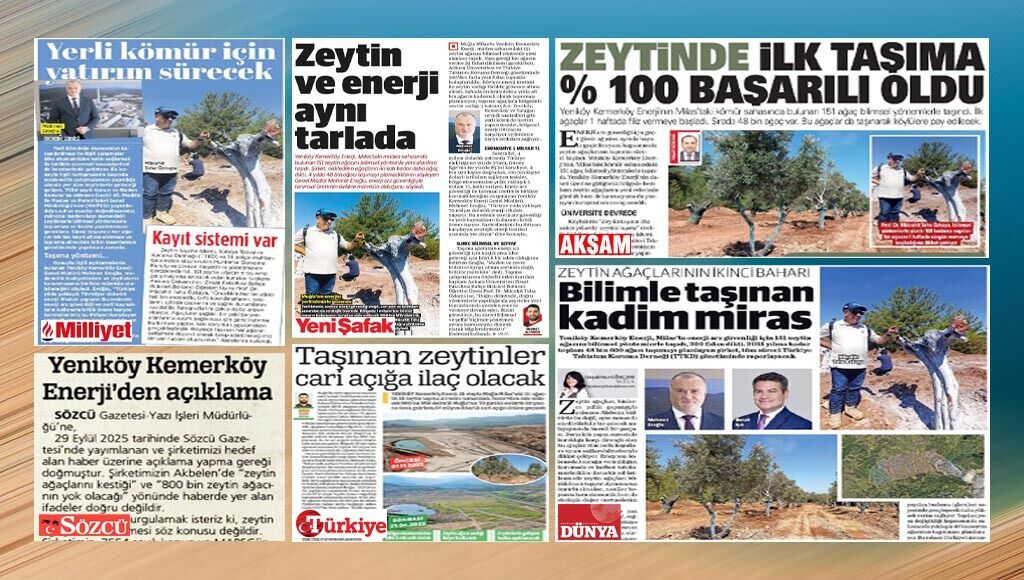 Whatsapp Image 2025 10 05 At 13.06.08 (1)-1