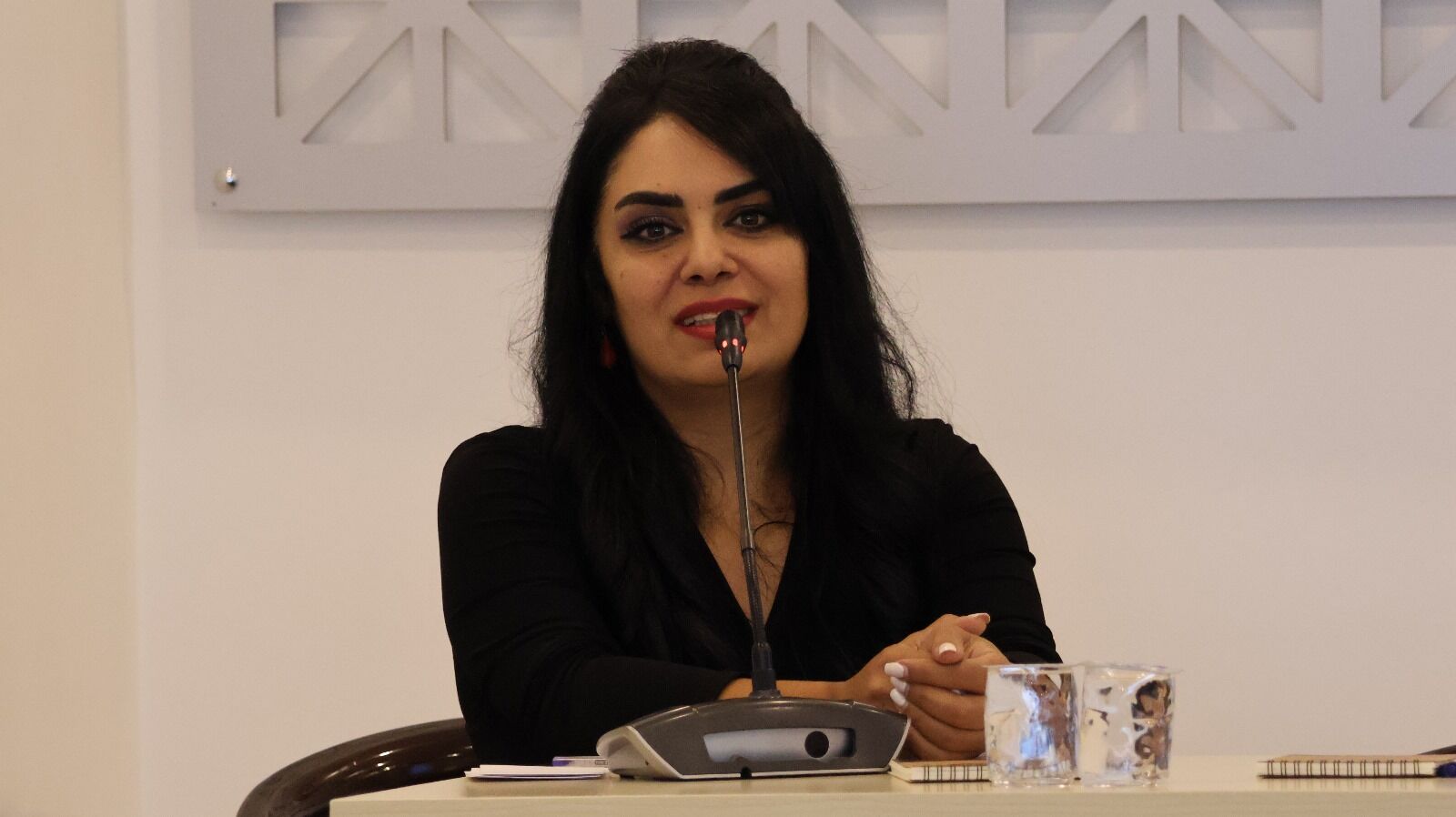 Dr. Mehsa Mehdizade