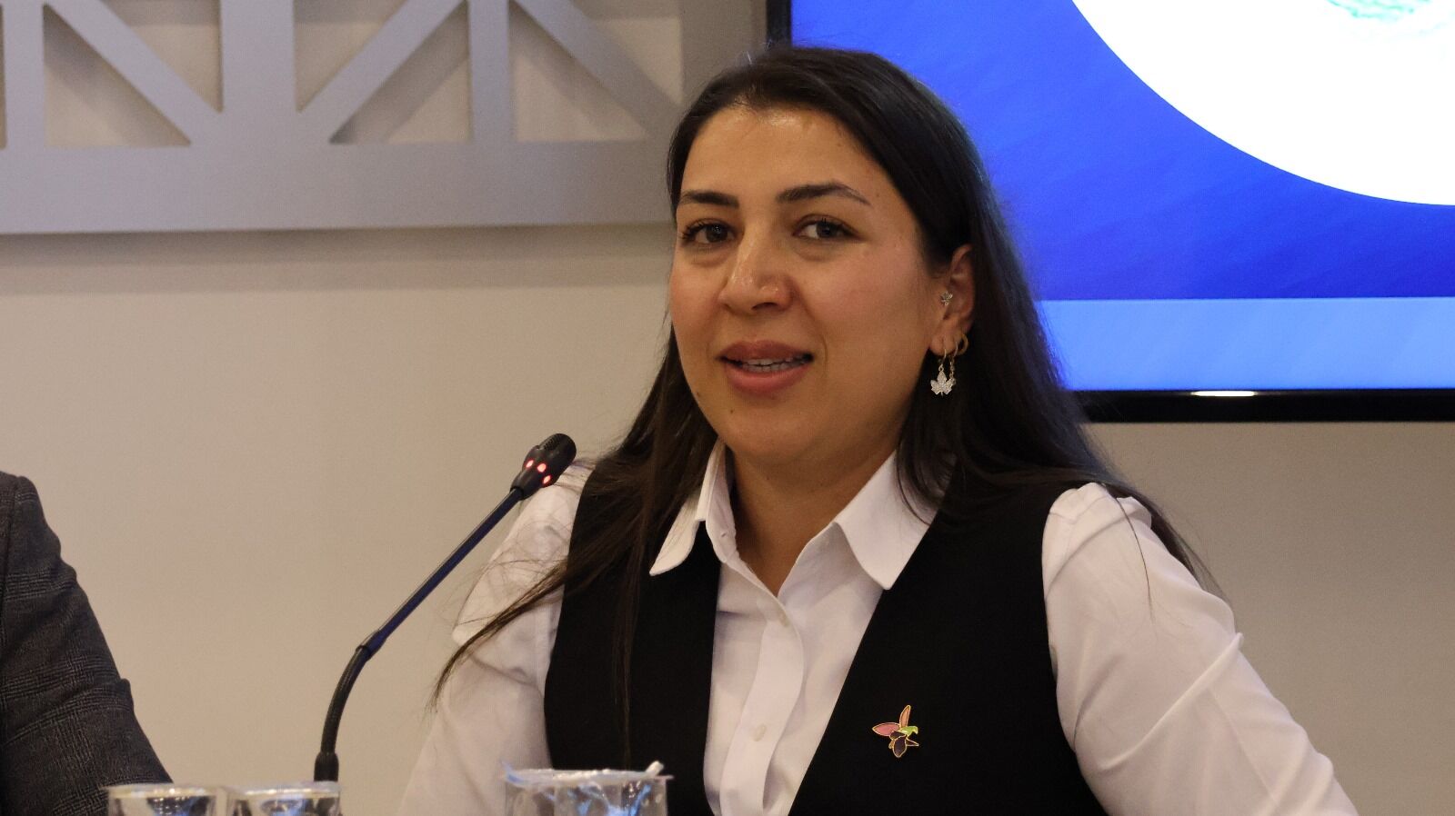 Dr. Nazrin Alizada