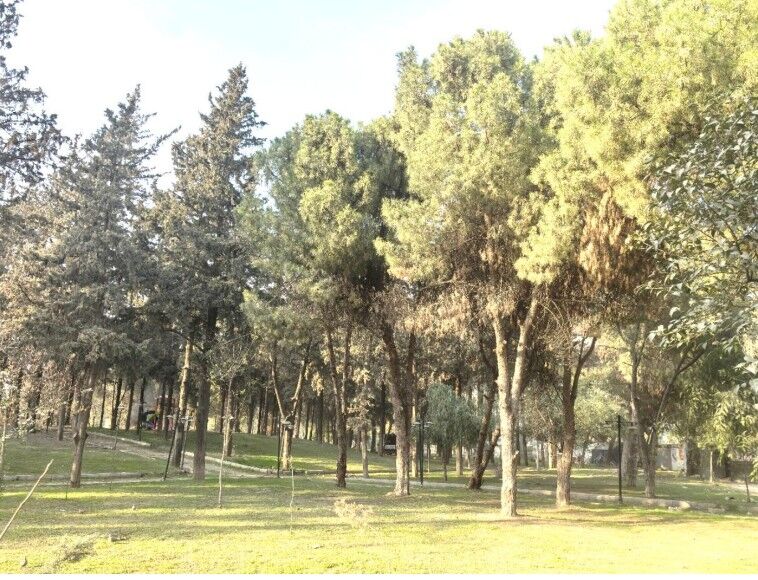 Ekran Görüntüsü 2025 11 13 105103