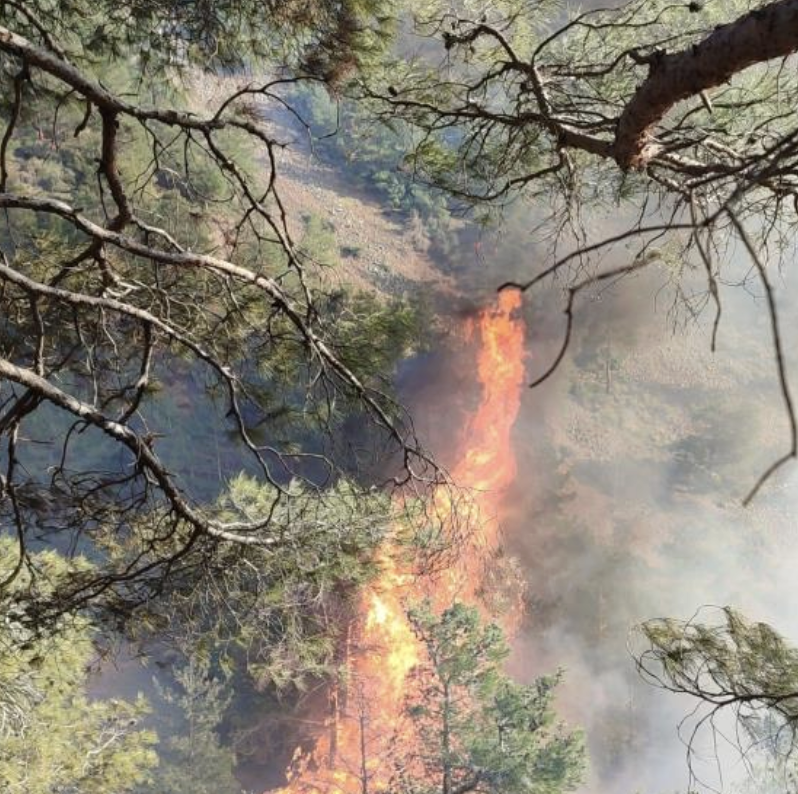 Hatay Belen Orman Yangını