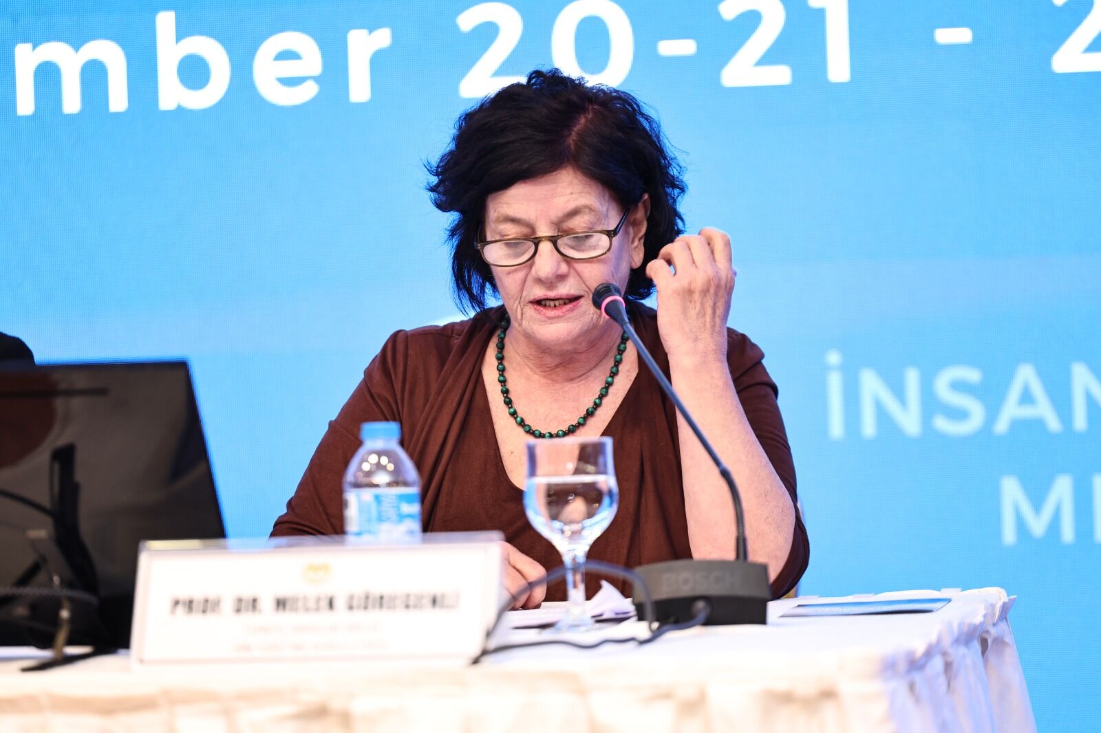 Prof. Dr. Melek Göregenli