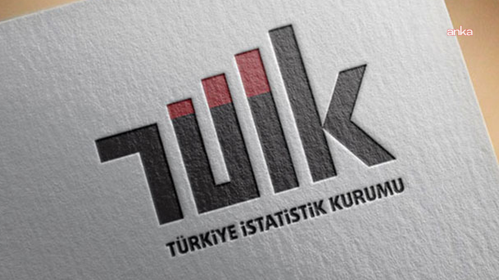TÜİK-4