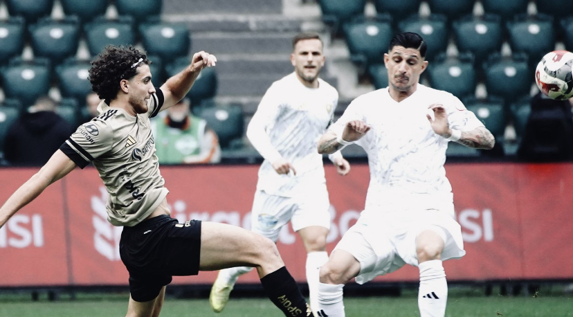 Kocaelispor, Türkiye Kupası