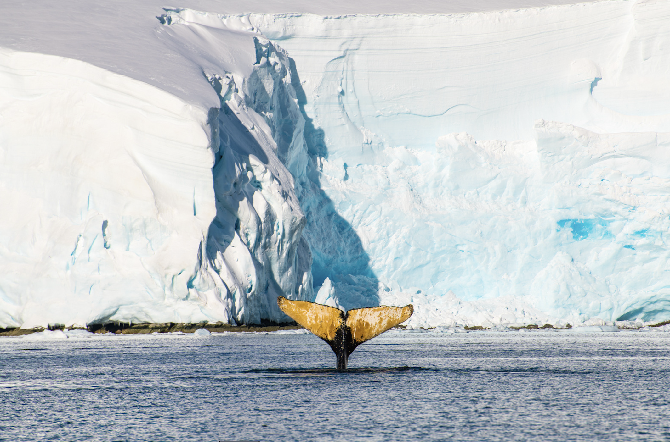 Yunus Topal - Kutup-3