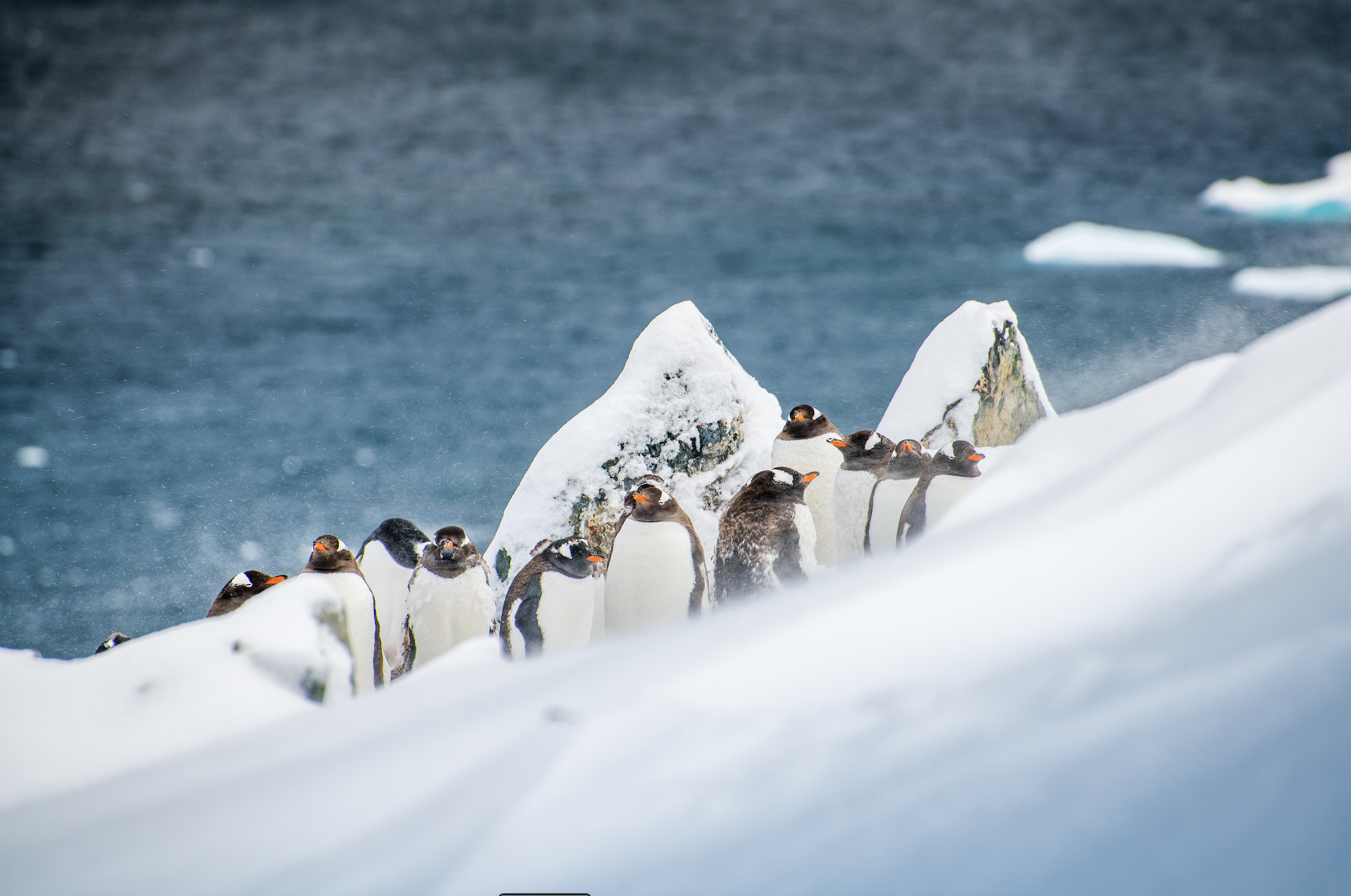 Yunus Topal - Kutup-5