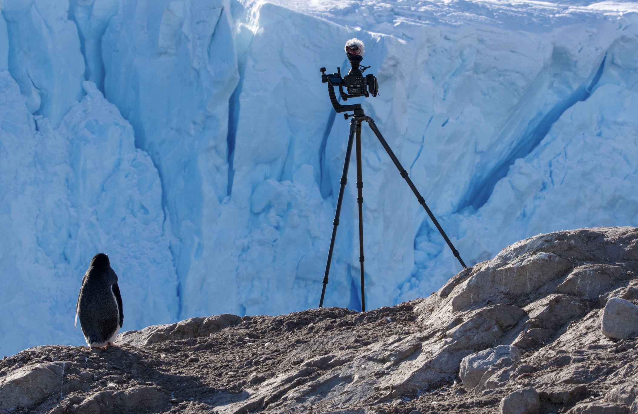 Yunus Topal - Kutup-13