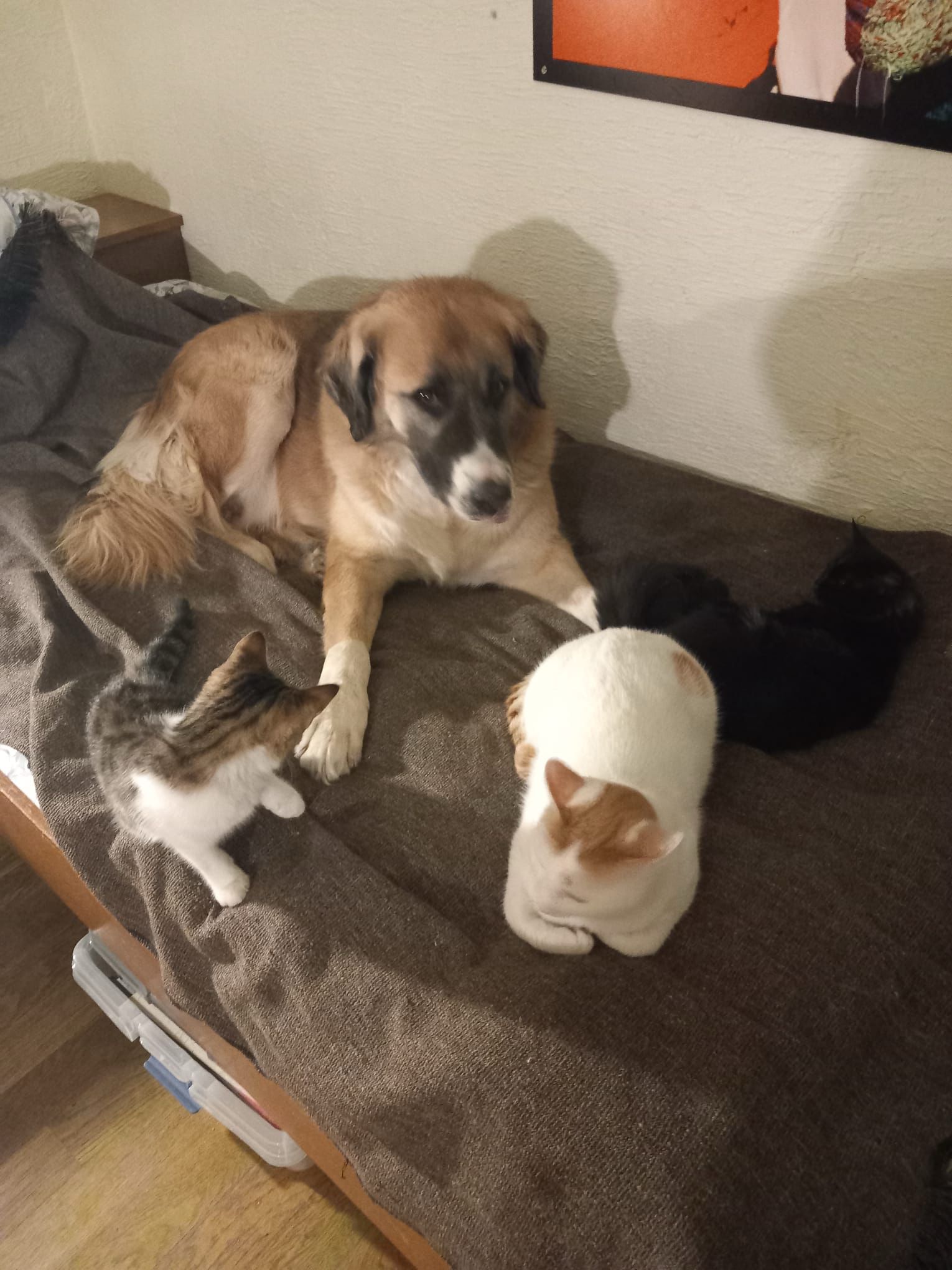 Şanslılar Kurtarıldılar