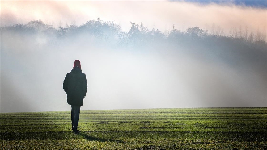 Thumbs B C A63A4353204Cbcee59C0210D544117F8