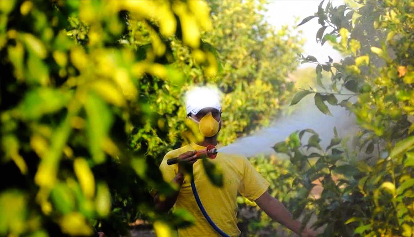 Zmo Baki Suiçmez Röportaj (3)-1