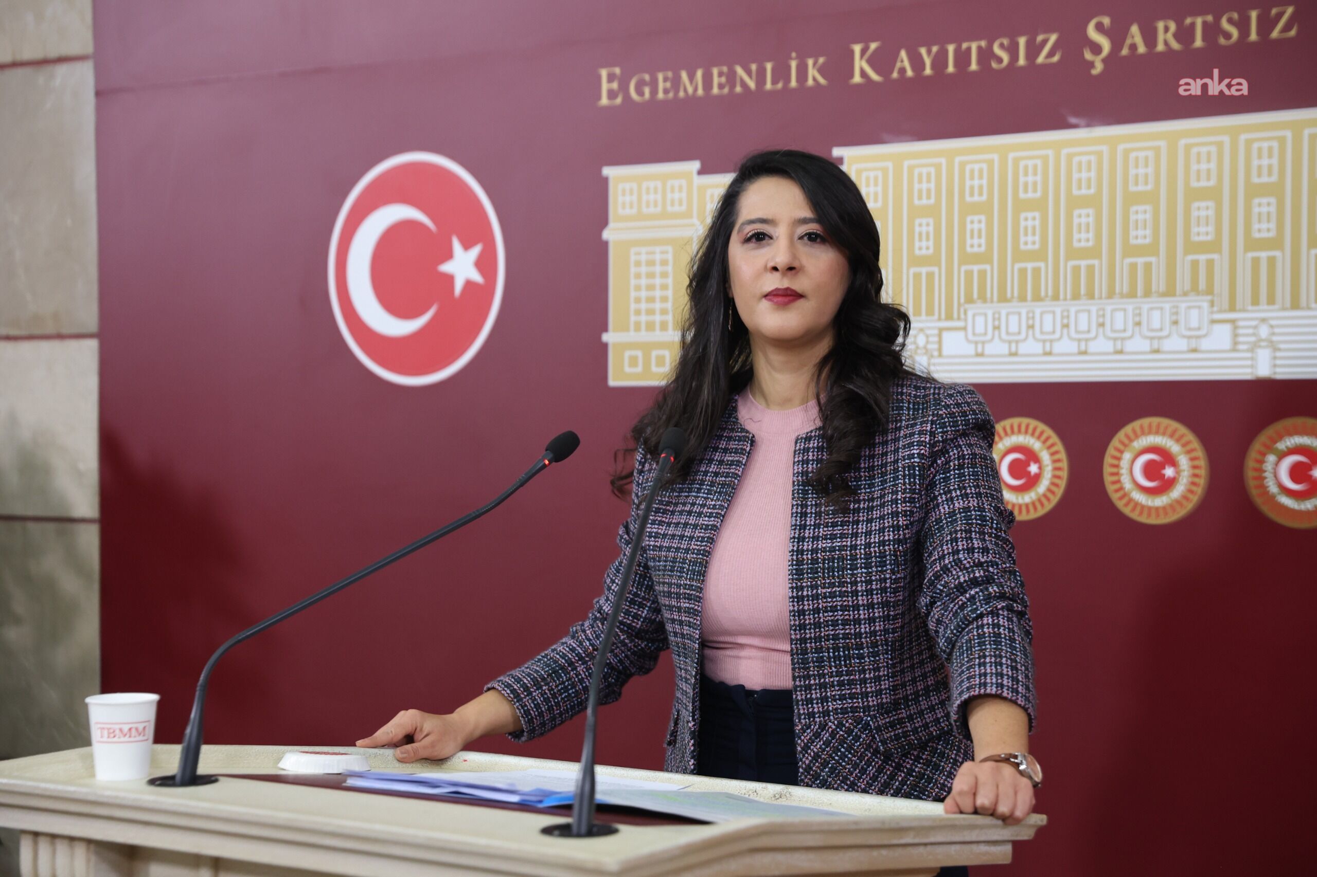 EMEP’li Sevda Karaca Alican Uludağ ve ETHA çalışanlarının tutuklanmasını Meclis gündemine taşıdı