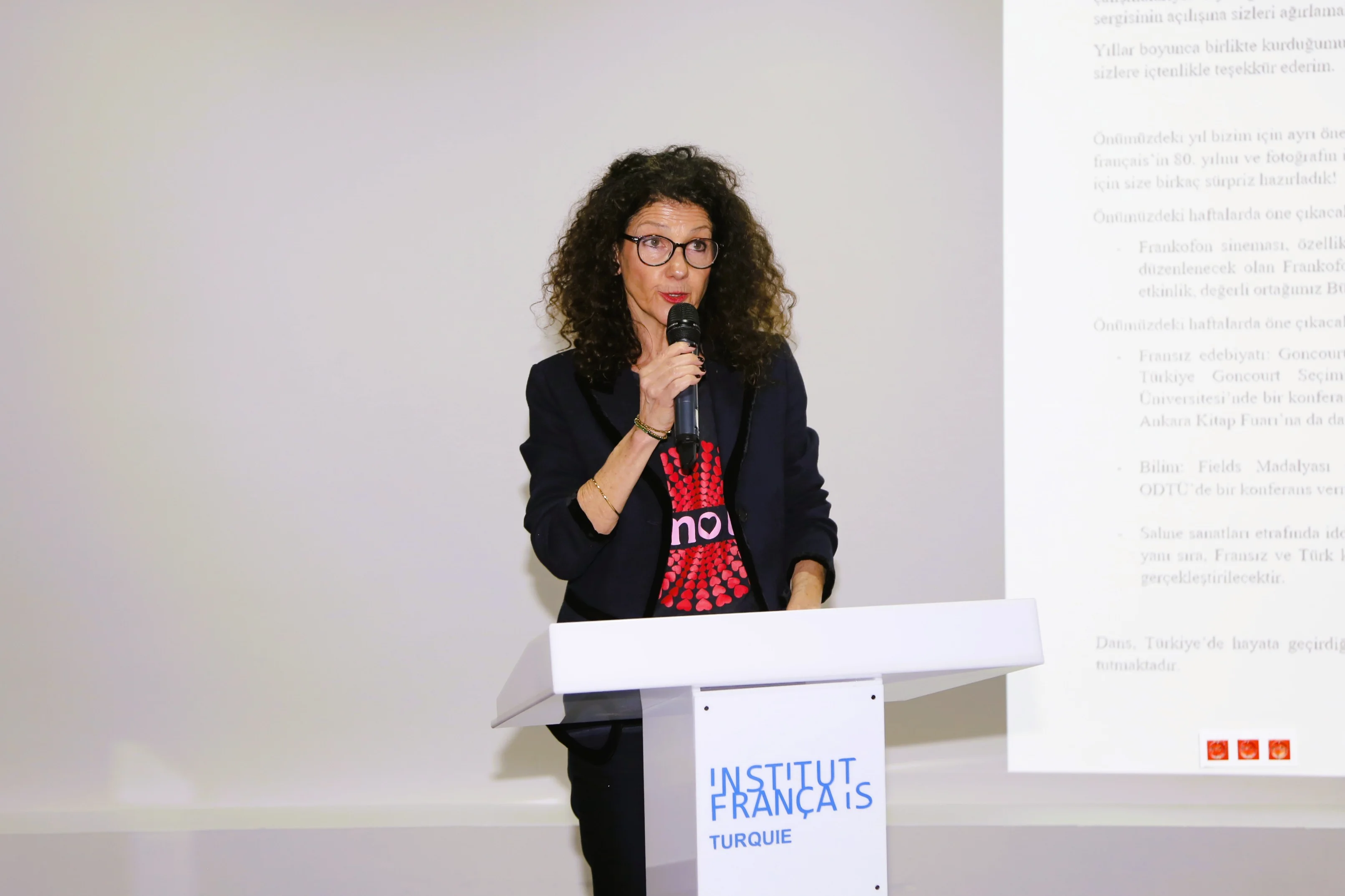 Fransiz Kultur Sergi (1)