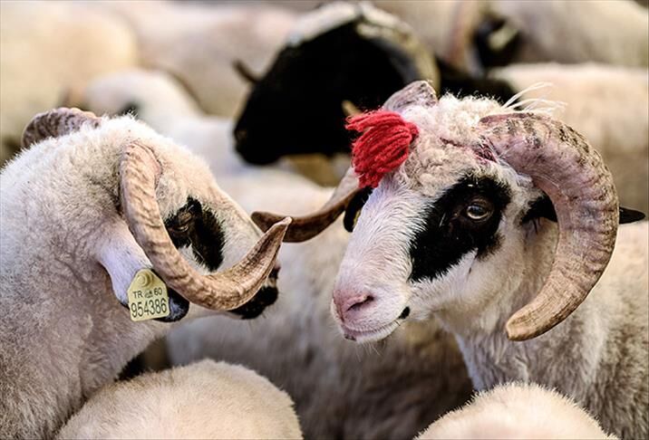 2026 Kurban Bayramı ne zaman? Bayram tatili 9 gün olacak mı?-1