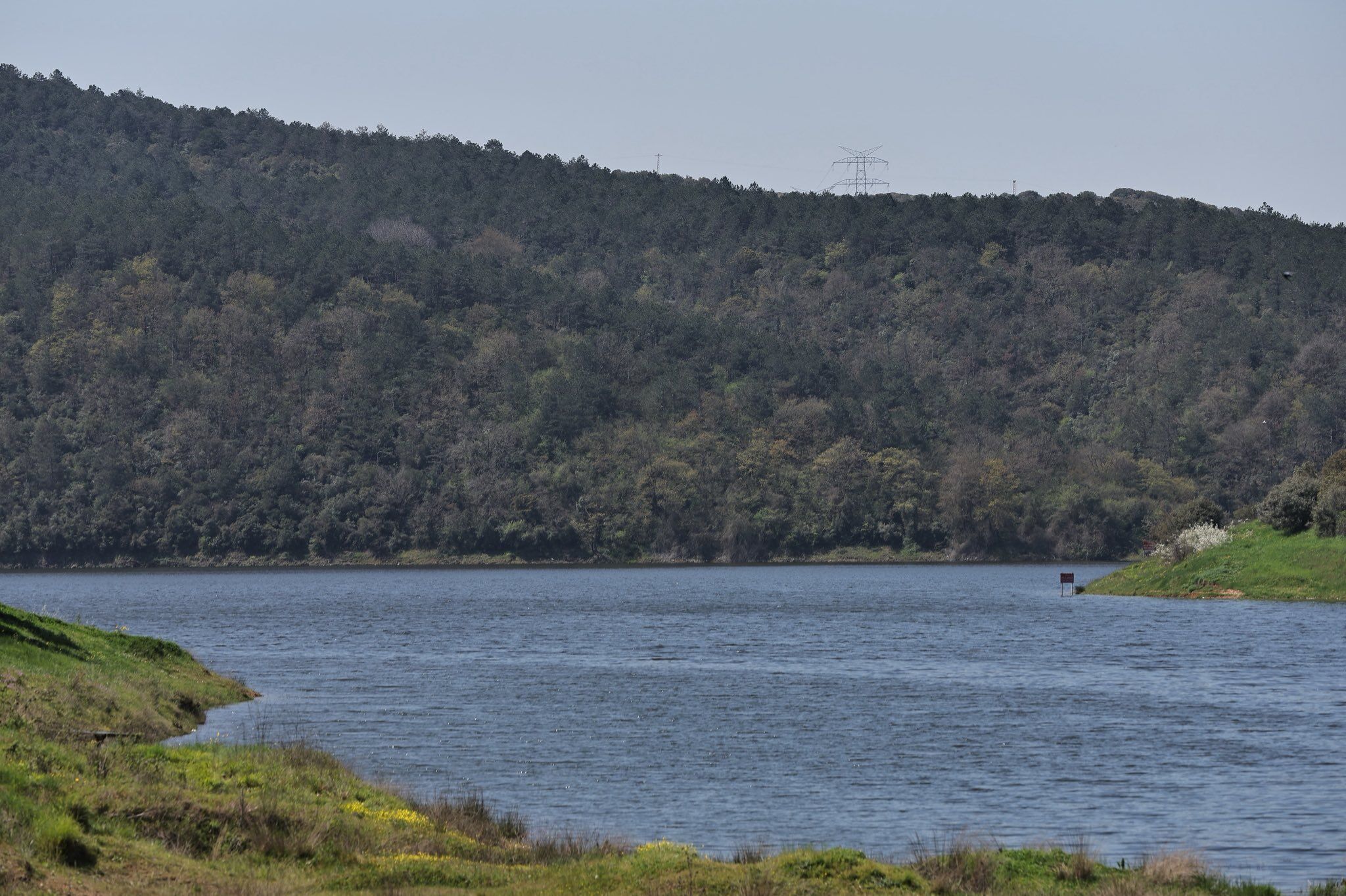 9Afde222 0495 4716 9A28 D146A26F0265