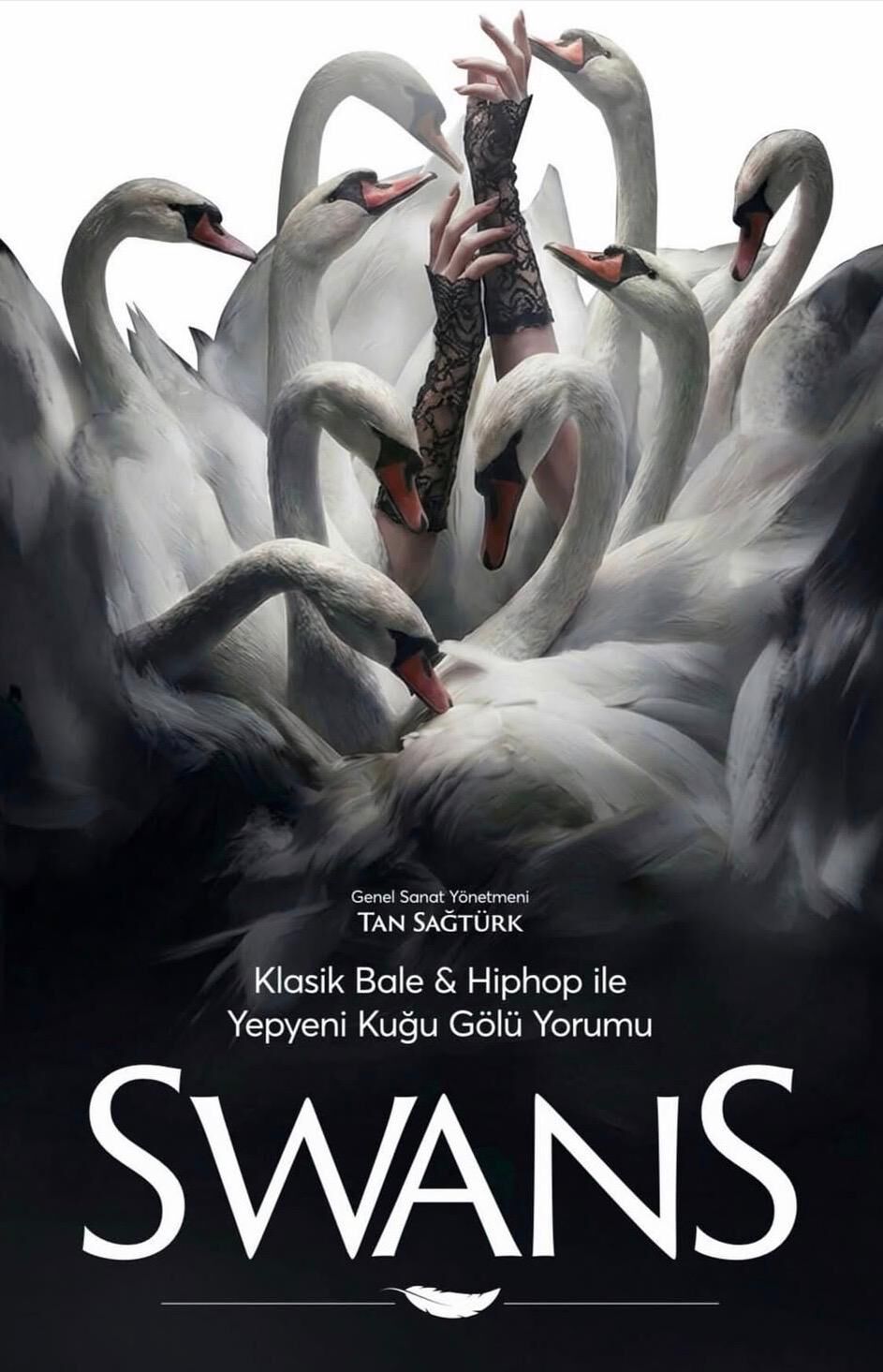 Swans Kuğu Gölü Görsel 1
