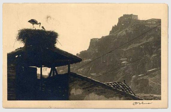 Uğur K A V A S 37 08