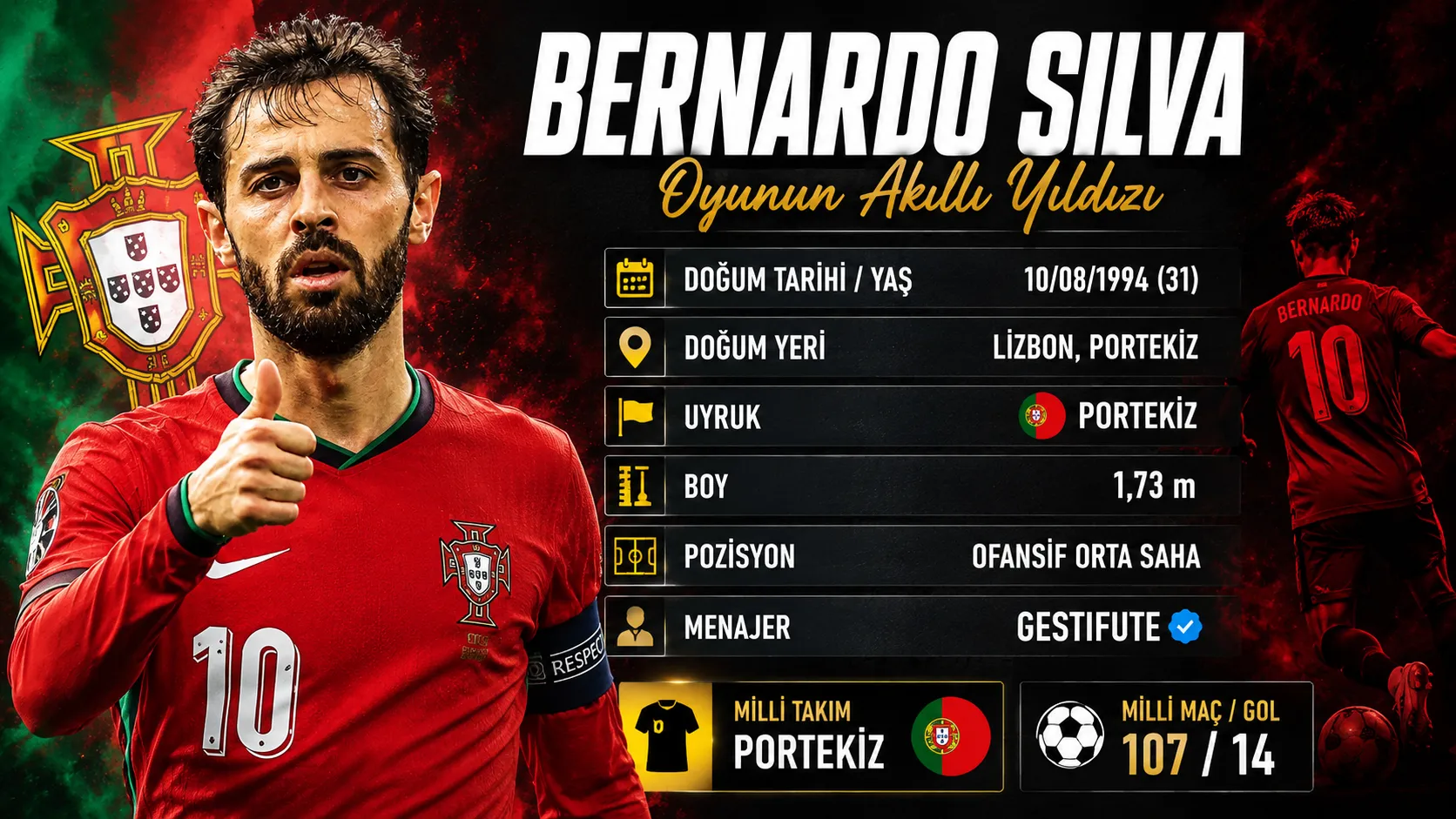 Bernardosilva Ozet Bilgi Kapak