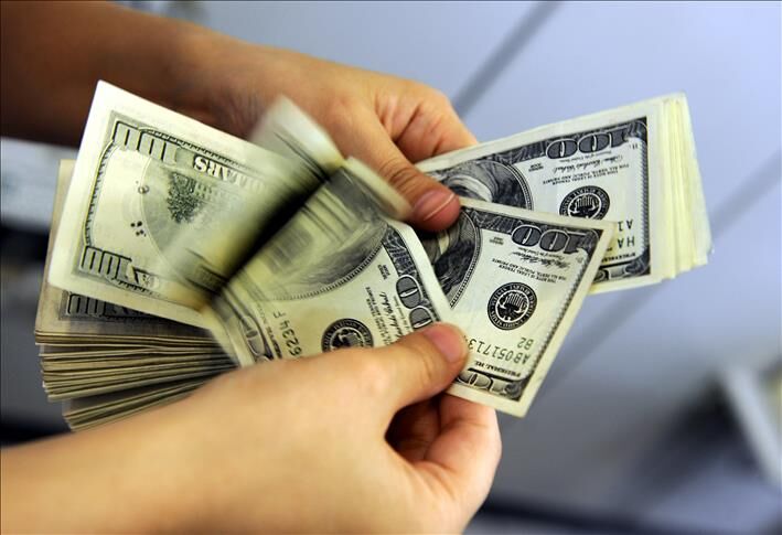 Dolar Haftanın En Yüksek Seviyesine Ulaştı3-(copy)