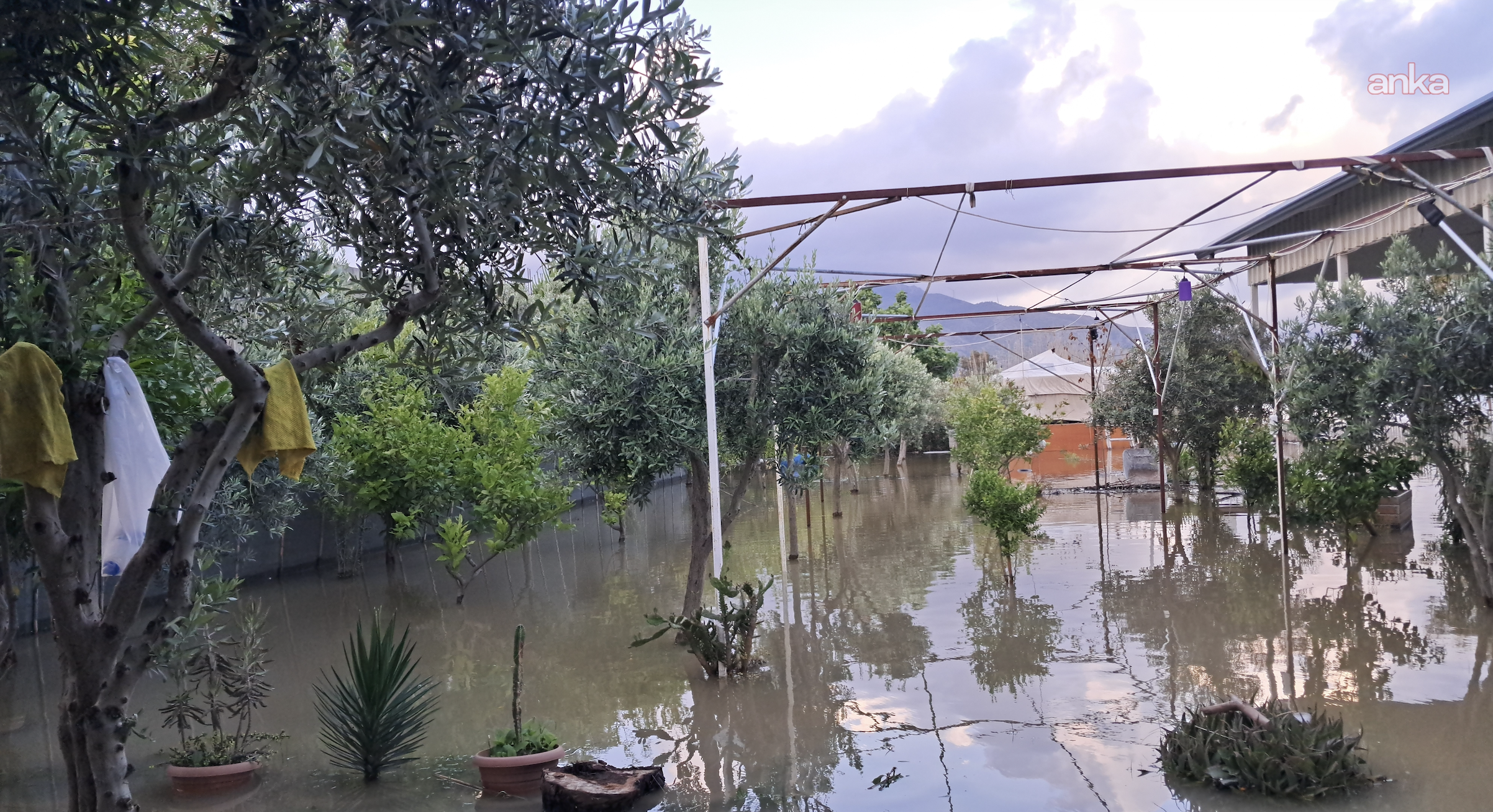 Hatay Sel3
