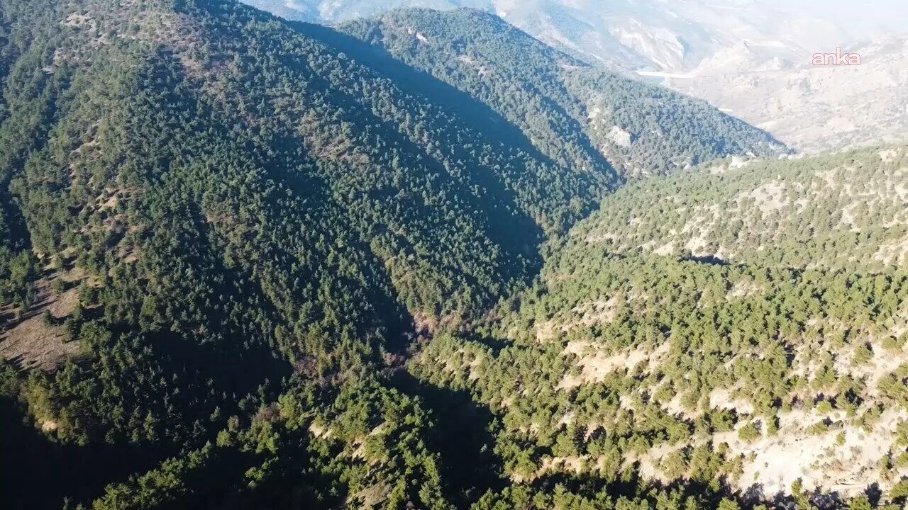 Alpagut ve Atalan için 'bilirkişi' freni: