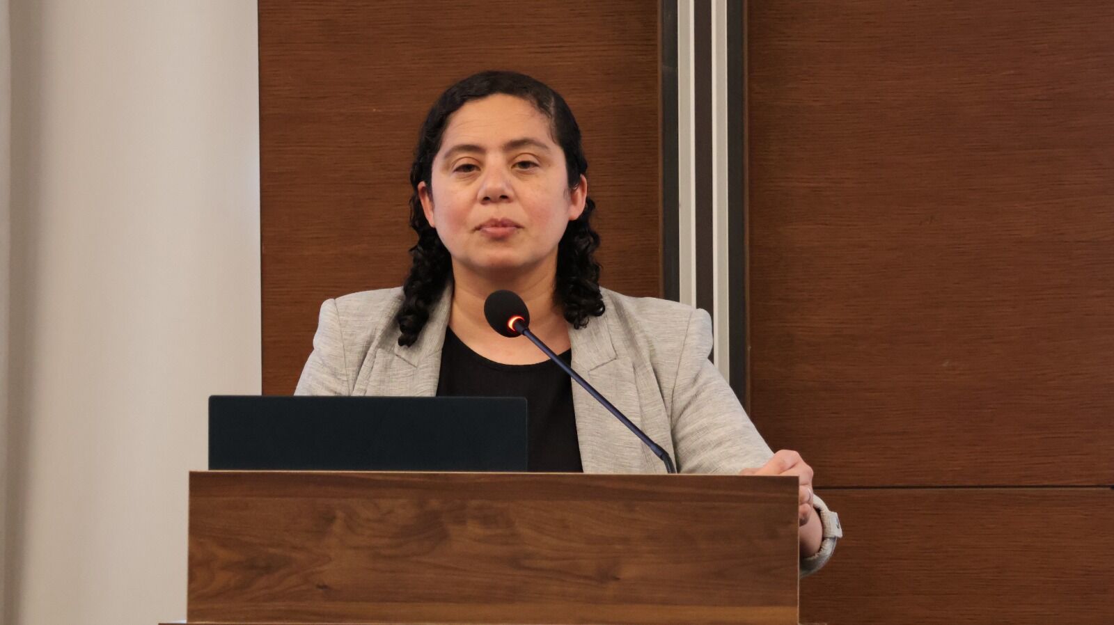 Efj Toplantı Lainez