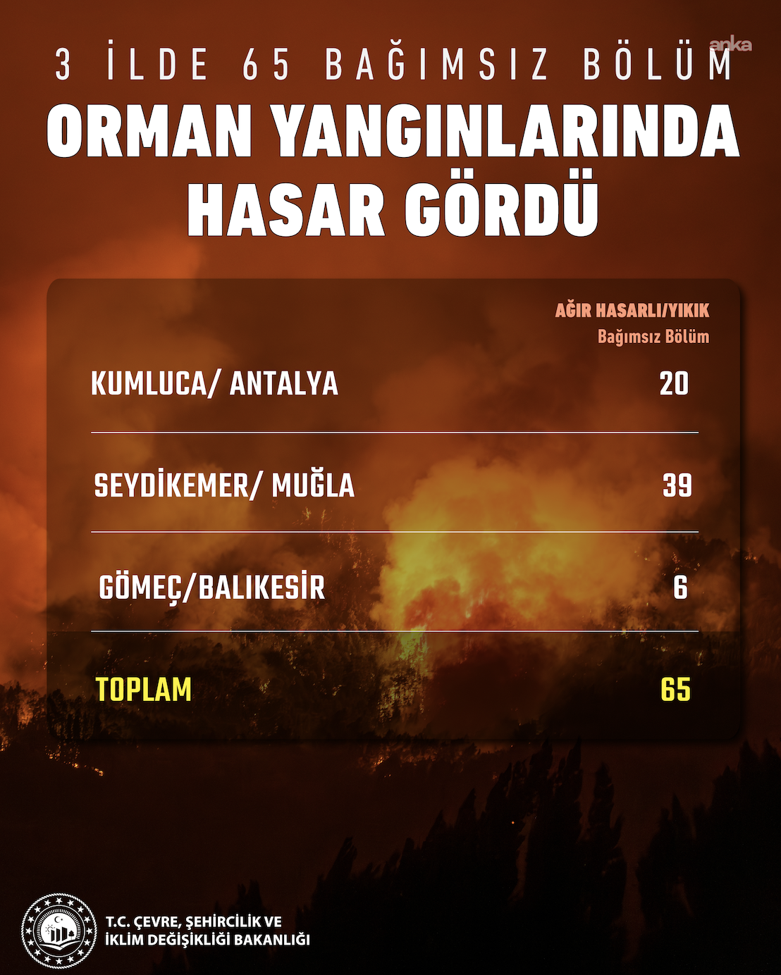 Ekran Resmi 2026 07 31 11.40.53