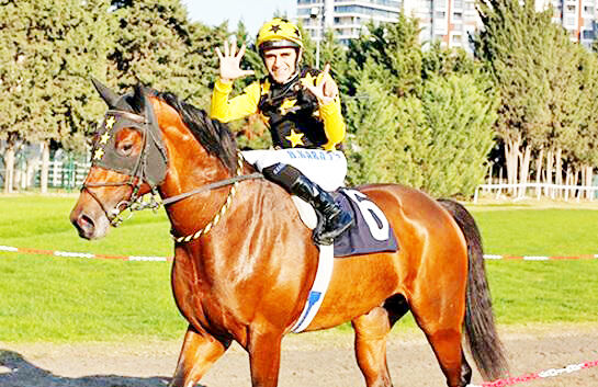 Gazi1-1