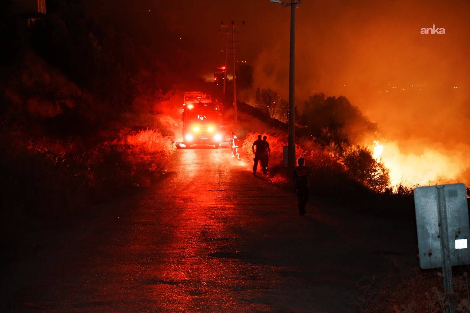 Gömeç'teki Orman Yangını Bergama'ya Ulaştı: Çandarlı'daki Iki Yangın Kontrol Altında2