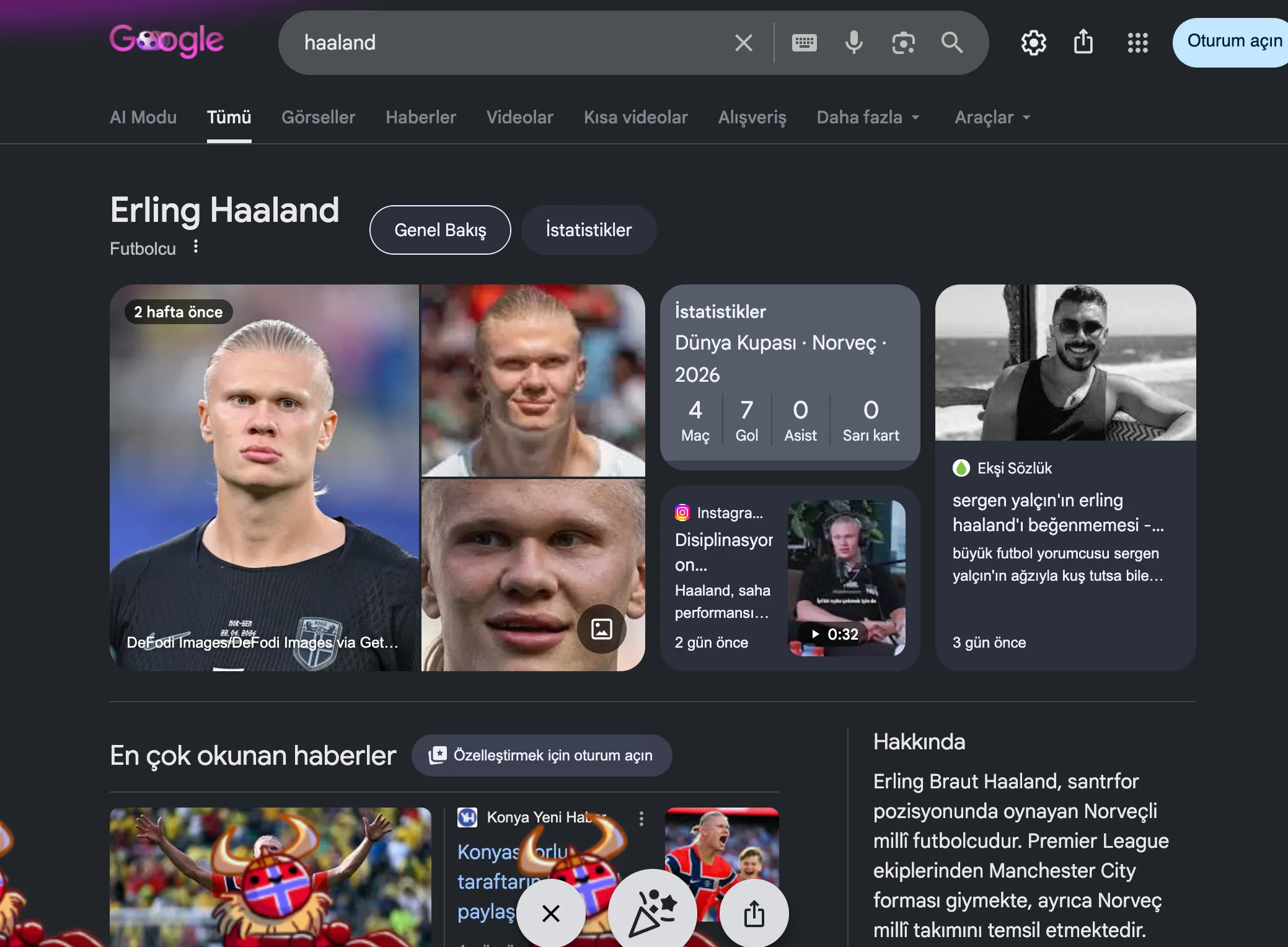 Haaland Google