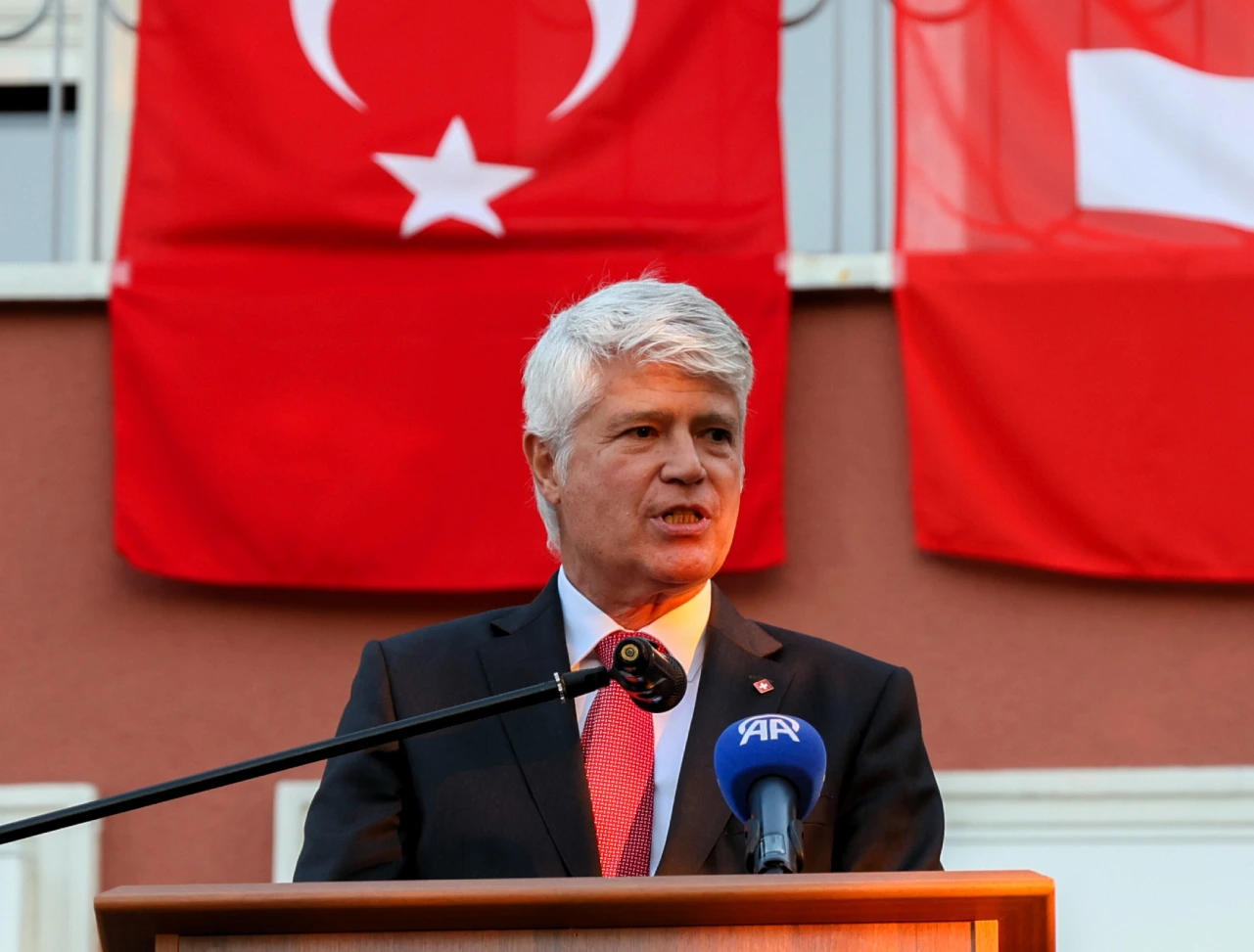 Isvicre Milli Gunu (5)