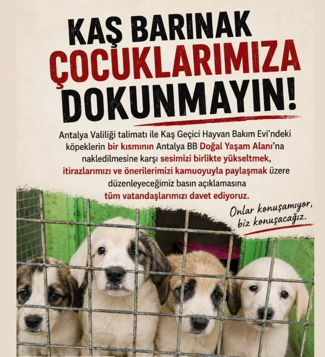 Kaş'ta Imza Kampanyası